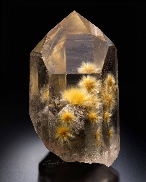 Rutile in Quartz Bahia Brazil, Geology Rocks, Fine Minerals, Pretty Rocks, Rutile Quartz, Phantom Quartz, Amethyst Geode, Rocks And Gems, Minerals And Gemstones