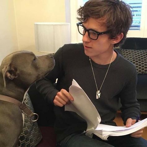 Tom Holland, Fanfiction, Holland, A Man, The Story, Books Wattpad, Wattpad, Books, Instagram