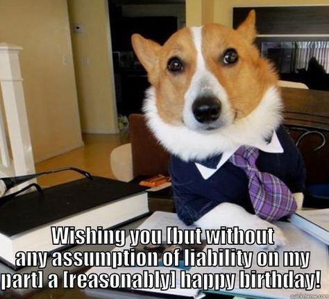 Lawyer Birthday Meme Joke Image 06 Lawyer, A Dog