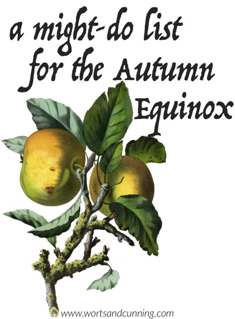 A might-do list for the Autumn Equinox | Mabon | The Autumn Equinox, known also as Mabon, Alban Elfed, Ingathering, and Harvest Home, for a variety of Pagans, it’s a beautiful celebration of the end of the most abundant point of the harvest season. Continuing a project started at Lughnasadh, here’s list of nine things that you might-do (or not) for the Autumn Equinox and the season of Mabon. Autumnal Equinox Celebration, Autumn Equinox Ritual, Harvest Activities, Wiccan Sabbats, Corn Dolly, Autumnal Equinox, Big Friends, Eclectic Witch, Apple Harvest