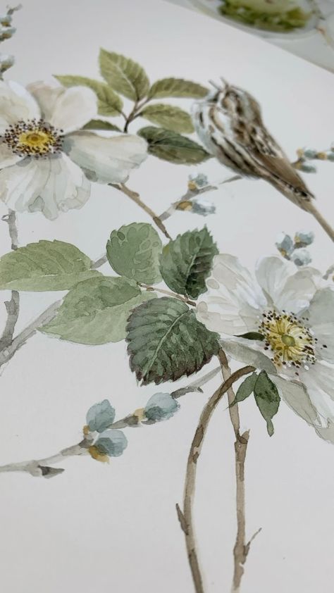 Lisa Audit Art (@lisaauditart) • Instagram photos and videos Pretty Edgy, Lisa Audit, Watercolour Inspiration, Floral Art, Illustration Art, Paintings, Embroidery, Instagram Photos, Photo And Video