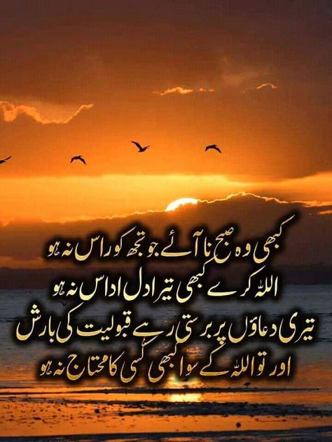 Urdu Dua, Shayari Funny, Dua In Urdu, Good Day Messages, Quotes Morning, Love Quotes In Urdu, Good Morning Coffee Gif, Islamic Wallpaper Hd, Morning Prayer Quotes