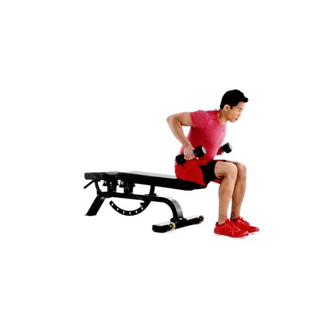 Dumbbell Row, Seated Row, Strength Training Workouts, Muscle Fitness, Shoulder Workout, Strength Training, Step By Step Instructions, Stationary Bike, Motion