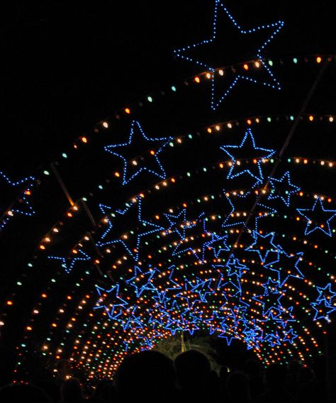 Trail of Lights Trail Of Lights, Light Trails, Silly Goose, Collage, Lighting, Photographer, Christmas, Pins