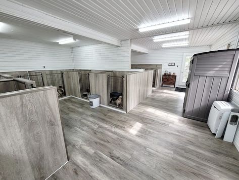 Dog Kennel Inside, Dog Room Design, Dog Boarding Ideas, Dog Daycare Business, Dog Breeding Business, Luxury Dog Kennels, Dog Boarding Kennels, Dog Room Decor, Indoor Dog Kennel