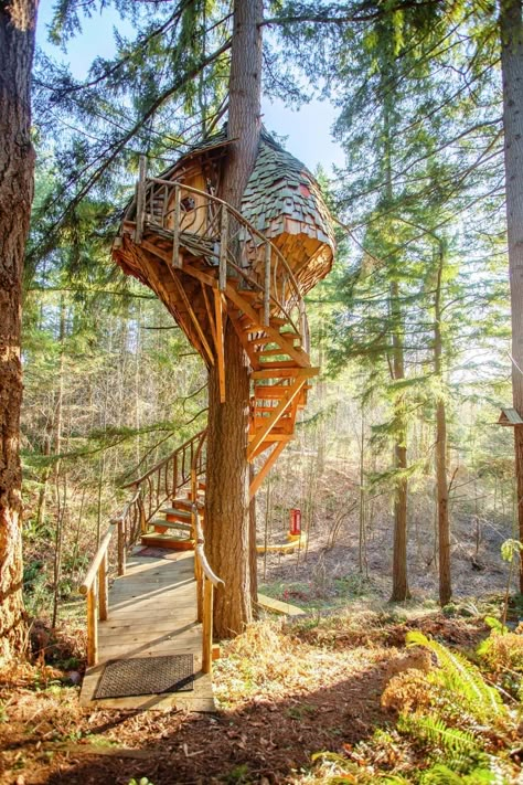 Photo 2 of 11 in How Tree House Master Pete Nelson Built an Empire in the Woods - Dwell Diy Tree House, Circular Staircase, Selamat Hari Valentine, Tree House Ideas, Treehouse Masters, Beautiful Tree Houses, Tree House Plans, Tree House Diy, House Tree