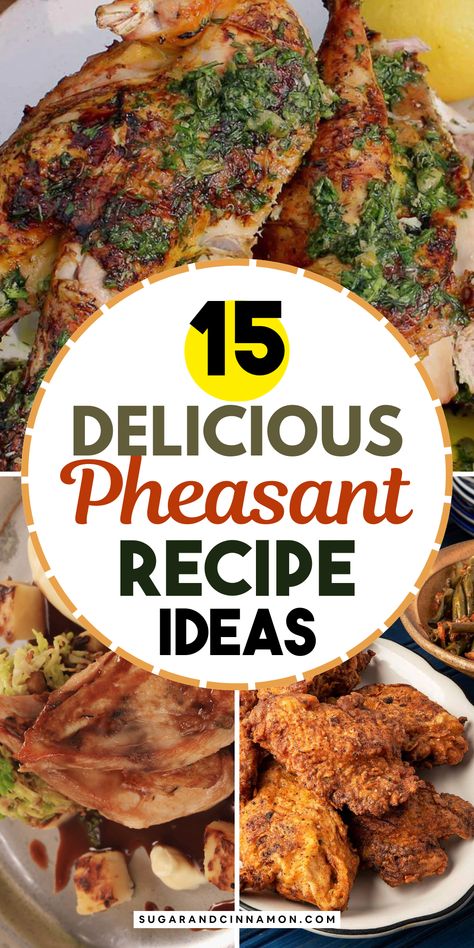 Impress your guests with these delicious pheasant recipes! 🍽️🦃 From easy-to-make dishes to gourmet flavors, find the perfect recipe to elevate your next dinner party. Don't miss out on these tasty ideas—save this pin for later! 📌💖 Pheasant Thigh Recipe, Pheasant Under Glass Recipe, Pheasant Marinade, Air Fryer Pheasant Recipes, Braised Pheasant Recipes, Instant Pot Pheasant Recipes, Grilled Pheasant Recipes, Pheasant Recipes Crockpot, Smoked Pheasant Recipes