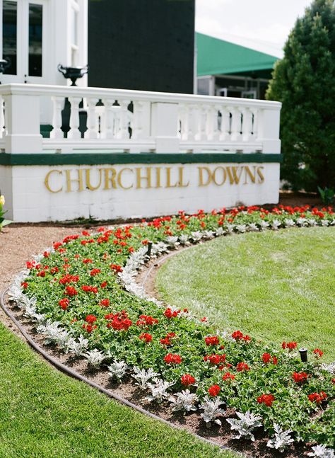 Why Churchill Downs looks so stunning on the big day Derby Winners, Run For The Roses, Red Geraniums, Churchill Downs, Opening Night, Rowing, Kentucky Derby, Churchill, Petunias