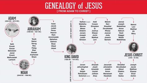 Genealogy of Jesus Psalm 110, Bible Contradictions, Bible Genealogy, Genealogy Of Jesus, Early Church Fathers, Gospel Bible, Son Of David, Mary And Joseph, Bible Study Help