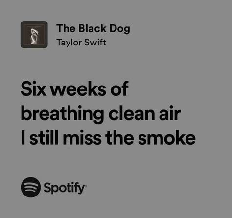 The Black Dog Taylor Swift Song Lyrics, Music Girl, Meaningful Lyrics, Music Is My Escape, Taylor Lyrics, Soul Songs, Spotify Lyrics, Lyrics Aesthetic, Me Too Lyrics