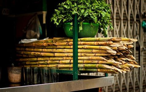 Backpacking Sanchi A World Heritage Sanchi Sugarcane Juice Stand by Wikimedia Ashoka The Great, Sugar Cane Plant, Juice Stand, Wheat Rice, Sugarcane Juice, Perennial Grasses, Architecture Building Design, Juicing For Health, Lake Wedding