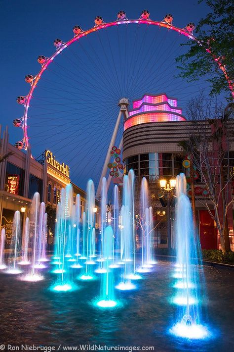 ✯ Observation Wheel - Las Vegas, NV Vegas Fun, Vegas Vacation, High Roller, Vegas Trip, Las Vegas Trip, Vegas Baby, Vegas Strip, Grand Canal, Las Vegas Strip