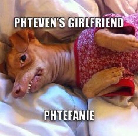 Phteven's girlfriend, Phtefanie Tuna Dog, Grumpy Cat, Laughing So Hard, Bones Funny, Funny Cute, Puppy Love, Funny Dogs, Really Funny, A Dog