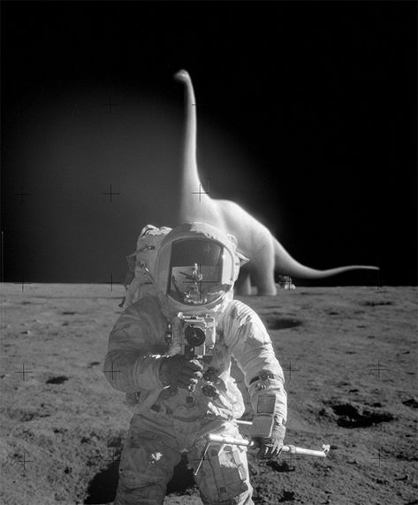 Tebe-4 Bizarre Photos, Montage Photo, On The Moon, Aliens, Collage Art, Drake, Surrealism, Digital Illustration, The Moon