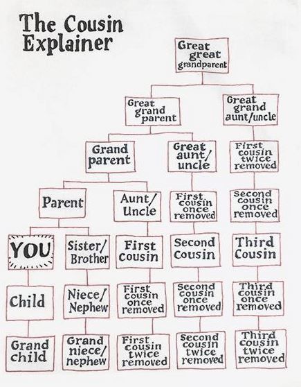 Family Tree Research, Ancestry Family Tree, Family Ancestry, Family Tree Project, Family Tree Genealogy, Ancestry Genealogy, Genealogy Research, Family Genealogy, Family Reunion