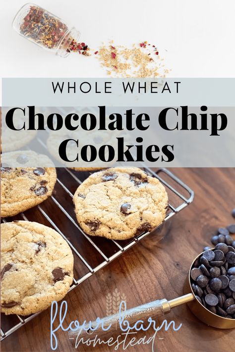 Whole Wheat Chocolate Chip Cookies with Fresh Milled Flour - The Flour Barn Homestead Groats Recipe, Einkorn Cookies, Whole Wheat Chocolate Chip Cookies, Wheat Chocolate Chip Cookies, Multigrain Bread Recipe, Fresh Milled Flour, Healthy Chocolate Chip Cookies, Cookies Healthy, Real Bread