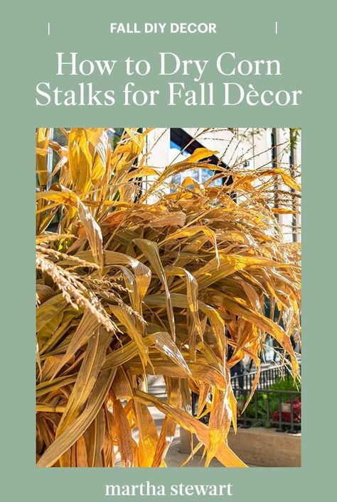 Corn Stalks Decorations, Corn Stalk Decor, Dried Corn Stalks, How To Make Corn, Corn Stalks, Dried Corn, Corn Husk, Harvest Decorations, Diy Pumpkin