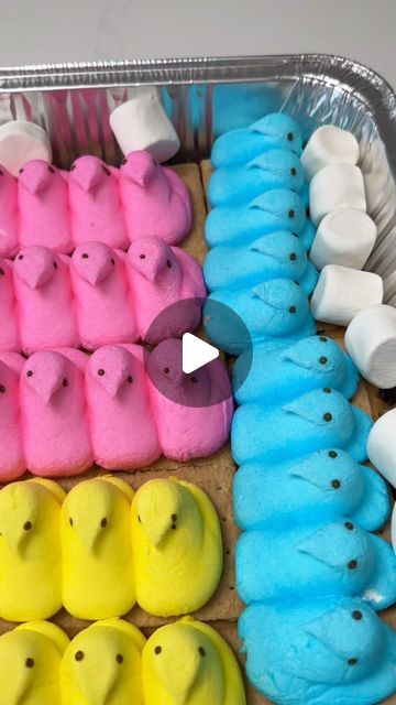 Kate Heintzelman on Instagram: "an absolute must! #peep #easter #eastereggs #dessert #baking #yummy #yum" March 20, Easter Eggs, Easter, Dessert, Baking, On Instagram, Instagram