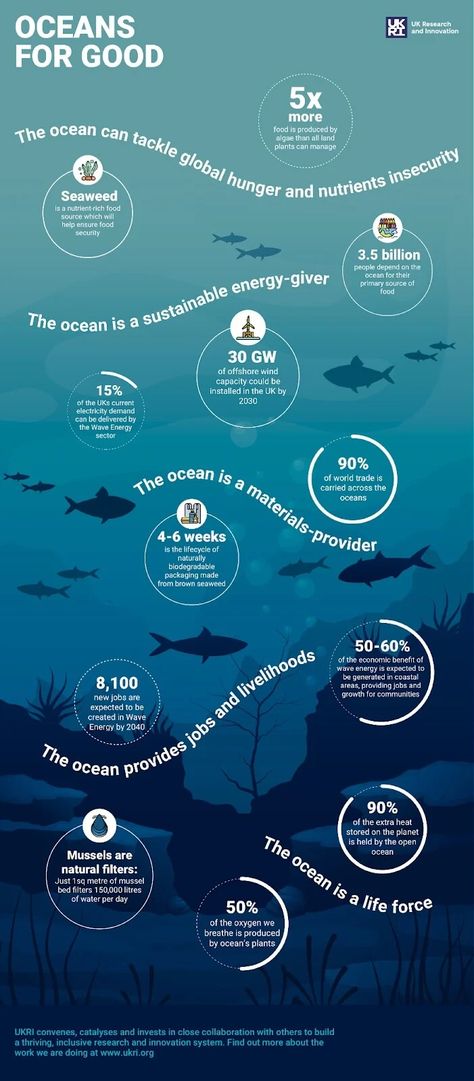 Ocean Conservation Poster, Ocean Pollution Infographic, Ocean Infographic Design, Water Infographic Design, Aquarium Graphic Design, Shark Infographic, Beach Infographic, Aquarium Infographic, Sea Infographic