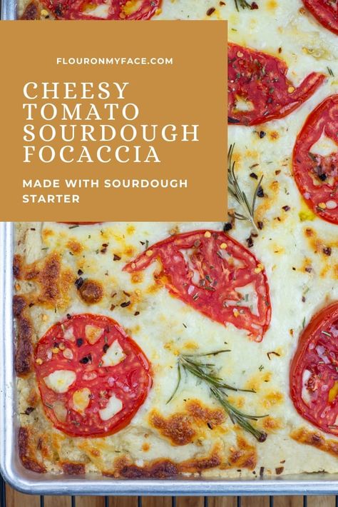 Cheesy Tomato Sourdough Focaccia is a tasty homemade focaccia made with sourdough starter and topped with mozzarella cheese, sliced tomatoes and fresh rosemary. Tomato Sourdough, Homemade Flatbread Recipes, Dough Starter Recipe, Sourdough Focaccia Recipe, Foccacia Recipe, Homemade Focaccia, Sourdough Focaccia, Sliced Tomatoes, Homemade Flatbread