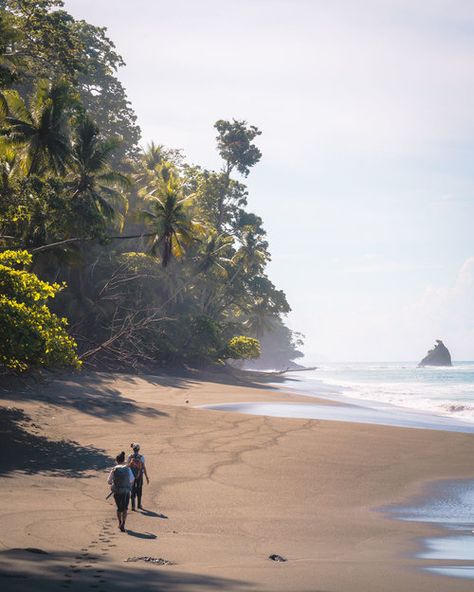 3 Day Jungle Trek Backpacking Corcovado National Park Costa Rica — Backcountrycow | Backpacking and Outdoor Travel Costa Rica Surf Trip, Getting Around Costa Rica, Costa Rica Backpacking, Costa Rica Horseback Riding, Fishing In Costa Rica, Corcovado National Park, Night Hiking, Aesthetic Backpack, Costa Rica Travel