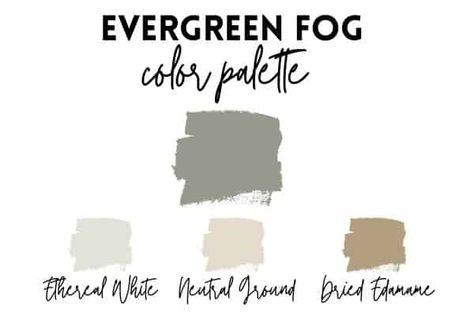 Evergreen Fog With Agreeable Gray, Sw Evergreen Fog Exterior, Evergreen Fog Complementary Colors, Fog Sherwin Williams, Interior Paint Palettes, Evergreen Fog, Cream Paint Colors, 2022 Color Of The Year, Sherman Williams