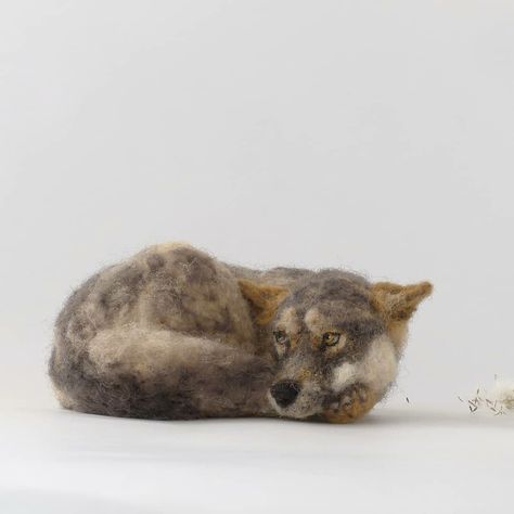 Felted Wolf, Needle Felted Animals, Soft Sculpture, Felt Animals, Needle Felted, Needle Felting, Koala, Art Shop, Fox