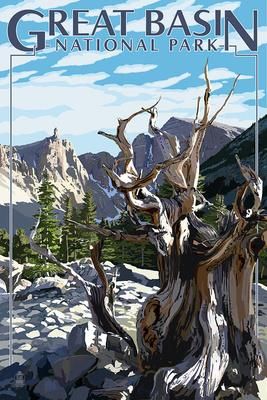 Great Basin National Park postcard, Nevada with Bristlecone pine Great Basin National Park, National Park Art, Great Basin, Retro Travel Poster, Park Art, National Park Posters, Usa Print, Vintage Travel Posters, Wood Metal