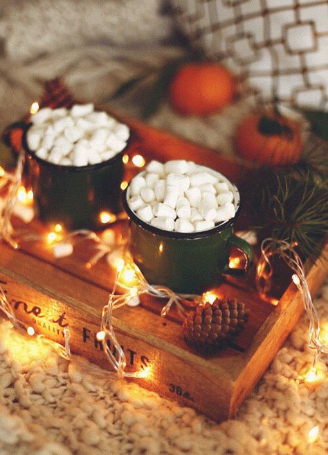 Noel Christmas, Christmas Aesthetic, Cozy Christmas, Happy Fall, Autumn Inspiration, Marshmallows, Christmas Cheer, Tis The Season, Winter Christmas