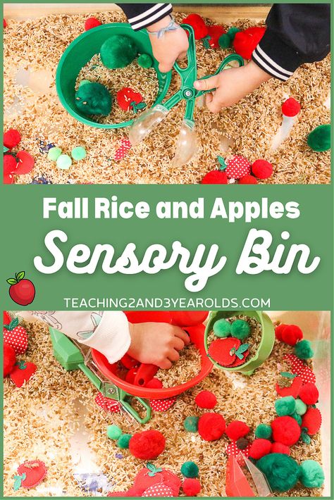 Put together a rice apple sensory bin that strengthens fine motor skills. Lots of scooping and pouring using tongs and cups! #apples #rice #sensory #bin #finemotor #toddlers #preschool #fall #autumn #teaching2and3yearolds Apple Sensory Bin, Pie Sensory Bin, Apple Sensory, Farm Sensory Bin, Apple Theme Activities, Preschool Apple Activities, Fall Sensory Bin, 3 Dinosaurs, Apple Preschool