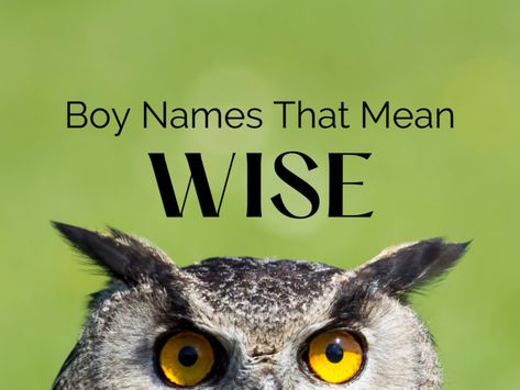 Wisdom can portrayed in a variety of different meanings … intelligent, smart, brilliant, WISE! Take a look at this list of boy names that mean wise and find a unique and inspiring option for your son. #boynames #babynames H Baby Names, List Of Boy Names, S Baby Girl Names, English Boy Names, Indian Baby Names, Boy Name Meanings, List Of Girls Names, Names For Boys List