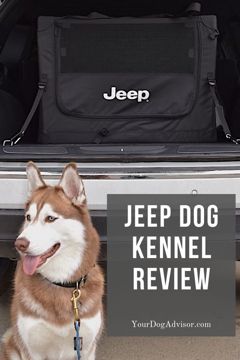 Jeep Dogs, Wrangler Unlimited Sport, Dog Seat Covers, Dog Box, Dog Car Seat Cover, Dog Shedding, Dog Car Seats, Border Collies, Dog Car