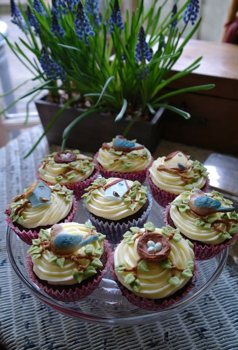 Chocolate & Vanilla cupcakes decorated with Birds, nests & bird houses made using a silicone mould made by FPC sugarcraft. Bird Cupcakes Ideas, Bird Cupcakes, Bird Theme Party, Bird Theme Parties, Birds Nest Cookies, Nest Cupcakes, Bird Birthday Parties, Tea Party Setting, Summer Tea