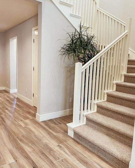 When it comes to renovating your stairs, choosing the right flooring is key to achieving the perfect look. At @royaltyflooring , we offer a wide range of options to suit every style and budget. Here are some popular types of stair flooring to consider: ⠀ 🌳 Hardwood: Add timeless elegance to your stairs with hardwood flooring. Available in a variety of species, finishes, and stains, hardwood is durable and easy to maintain, making it a popular choice for stairs. ⠀ 🎨 Laminate: For a budget-fr... Carpet On Stairs With Wood Floors, Stairs With Carpet, Carpet On Stairs, Type Of Flooring, Types Of Stairs, Flooring For Stairs, Carpet Stairs, Hardwood Flooring, Choose The Right