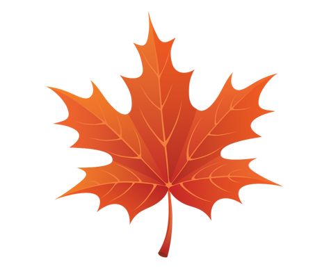 Fall Leaves Cartoon, Maple Leaf Images, Maple Leaf Clipart, Fall Leaves Png, Thanksgiving Leaves, Leaves Clipart, Fall Clip Art, Photo Clipart, Leaf Clipart