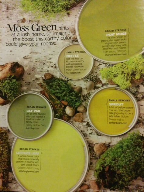 Moss green color inspiration Interior Paint Colors For Living Room, Interior Paint Colors Schemes, Best Living Room, The Color Wheel, Paint Color Schemes, Living Room Interior Design, Green Paint Colors, Wood Tones, Interior Paint Colors