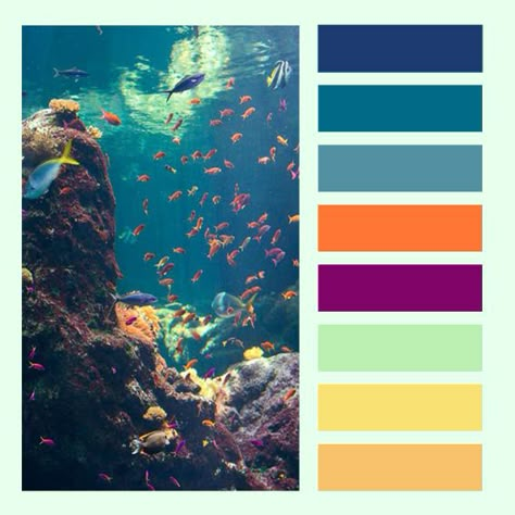 Colour Card / Inspirations / Spring / Summer / Nature / Colour Matching / Fabrics / Sample / Vividness / Coral / Polyps / Wild Life / Pure Nature / Fascinating / Colourful Life / Fish / Shoal Of Fish / Reef Reef Color Palette, Coral Reef Colour Palette, Tropical Fish Color Palette, Sea Life Color Palette, Fish Colour Palette, Coral Reef Color Palette, Coral Polyps, Coral Reef Color, Shoal Of Fish