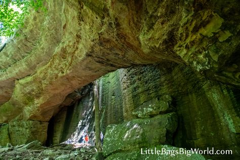 Natural stone arches in Illinois? Who knew?! You can climb on this one in Shawnee National Forest. See how we did it! Rock Hunting Washington State, Long Hunter State Park, Forestville Mystery Cave State Park, Shawnee National Forest, Illinois Travel, Pennyrile Forest State Park, Waterfall Trail, Scenic Road Trip, Mount Baker-snoqualmie National Forest