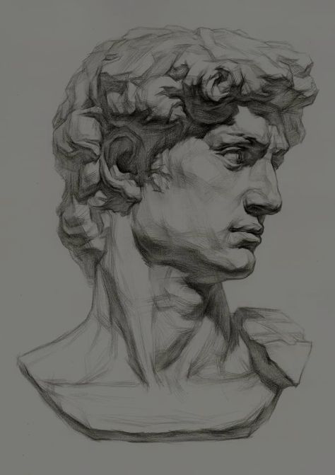 Roman Sculpture Drawing, Dark Academia Sketch, Dark Academia Sketches, Dark Academia Drawing, Roman Drawings, Greek Drawing, Historical Sculptures, Spiderman Art Sketch, Nose Drawing