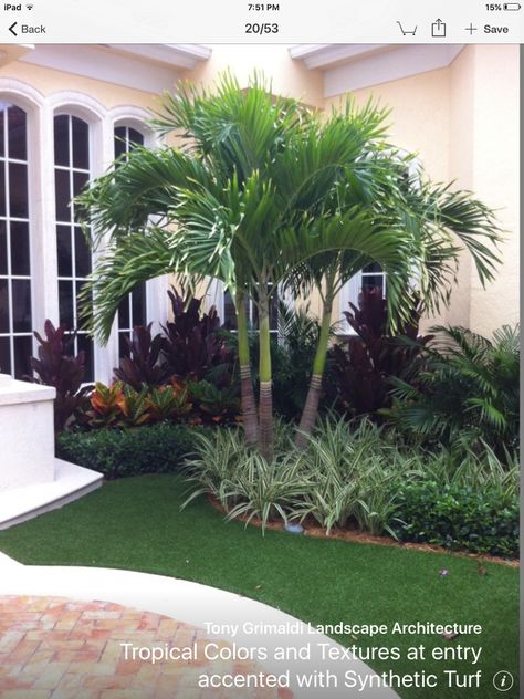 Landscaping Ideas For Front Of House Florida, Landscaping Against Wall, Tropical Garden Design Landscaping Front Yards, Fl Landscaping Front Yards, Palm Tree Front Yard Landscaping, Modern Florida Landscaping, North Florida Landscaping Ideas, Florida Landscaping Ideas Front Yards, Florida Landscaping Ideas