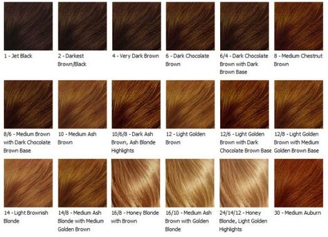 the names of blonde hair colors | Blonde tones/shades are numbers not names across the bored. Caramel Brown Hair Color, Blonde Hair Color Chart, Honey Brown Hair Color, Brown Hair Color Chart, Hair Caramel, Caramel Brown Hair, Honey Hair Color, Girl Hair Colors, Honey Brown Hair