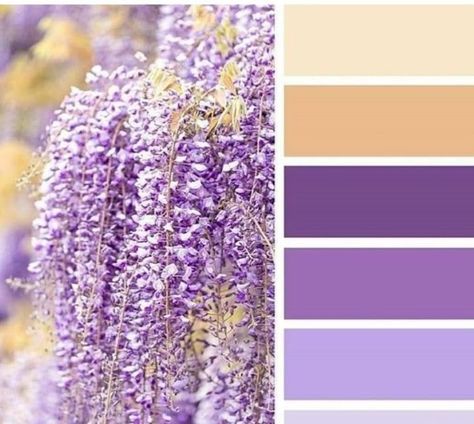 Wisteria Colour Palette, Wisteria Color Palette, Color Palettes Purple, Design Seeds Color Palette, Seeds Color Palette, Seeds Color, Purple Color Palettes, Color Palette Challenge, Color Schemes Colour Palettes