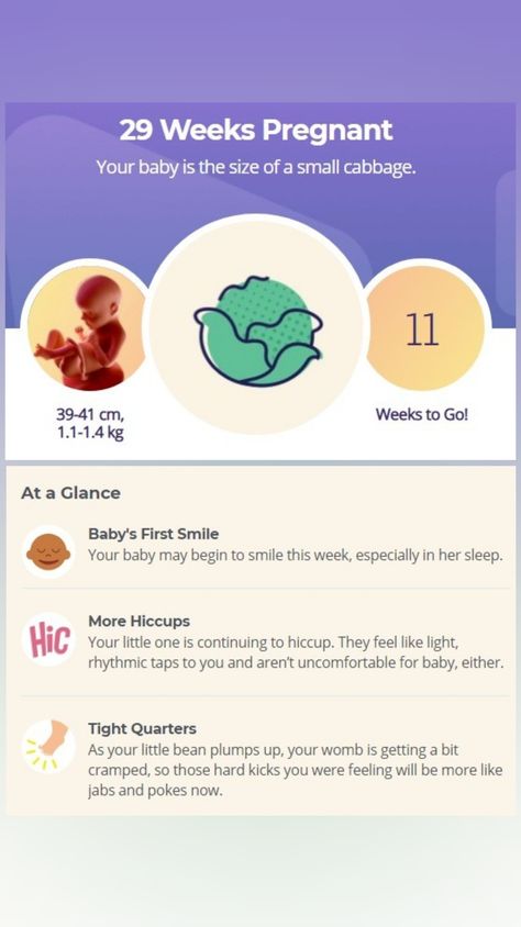 29 Week Pregnancy, Pregnancy Development, Baby Development Chart, 29 Weeks Pregnant, Baby Countdown, Baby Development Activities, 5 Month Old Baby, Weeks Of Pregnancy, Small Cabbage