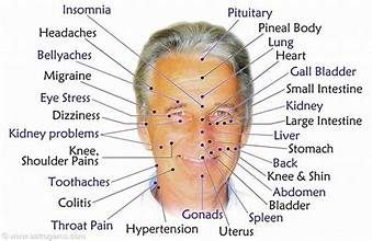 pressure points on head diagram - Yahoo Image Search Results Acupressure Points Chart, Acupressure Chart, Acupuncture Points Chart, Autogenic Training, Shiatsu Massage Acupressure, Acupuncture Benefits, Reflexology Chart, Reflexology Massage, Shiatsu Massage