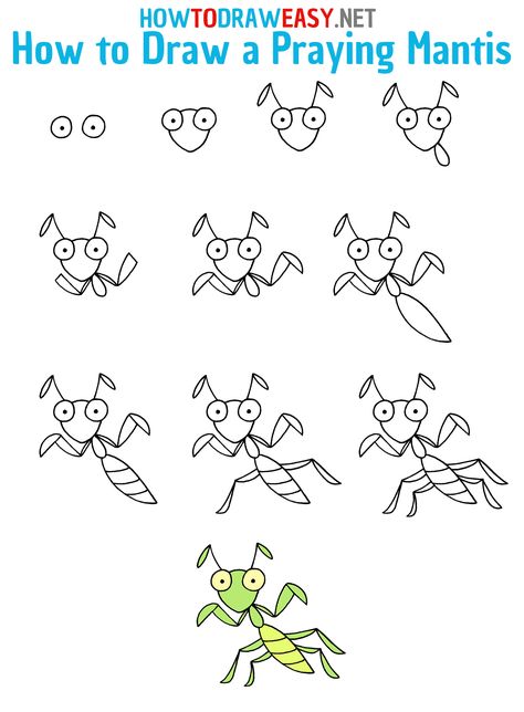 How to Draw a Praying Mantis Step by Step #PrayingMantis #Mantis #PrayingMantisDrawing #EasyPrayingMantisDrawing #StepbyStepPrayingMantisDrawing #PrayingMantisStepbyStepDrawing #HowtoDrawaPrayingMantis #CartoonPrayingMantis #CartoonDrawingTutorial #InsectDrawing #InsectsDrawings #HowtoDrawEasy Bug Doodles To Draw, How To Draw A Praying Mantis, How To Draw Bugs Step By Step, Pray Mantis Drawing, How To Draw Step By Step Easy, Praying Mantis Drawing Tattoos, How To Draw For Kids, Bug Directed Drawing, Praying Mantis Drawing