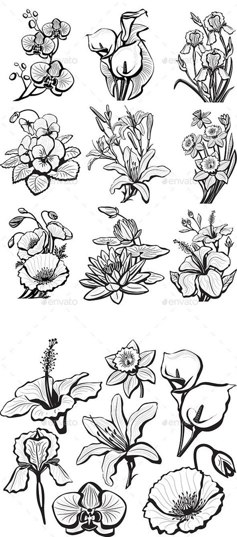 Squiggly Art, Bujo Prompts, Plant Sketches, Silhouette Sketch, Botanical Illustration Vintage, Plants Nature, Leaf Drawing, Flower Sketches, Floral Drawing