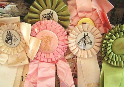 Horse Show Ribbons, Horse Ribbons, Equestrian Chic, Horse Party, Horse Birthday, Kentucky Derby Party, Cowgirl Party, Pony Party, Derby Party