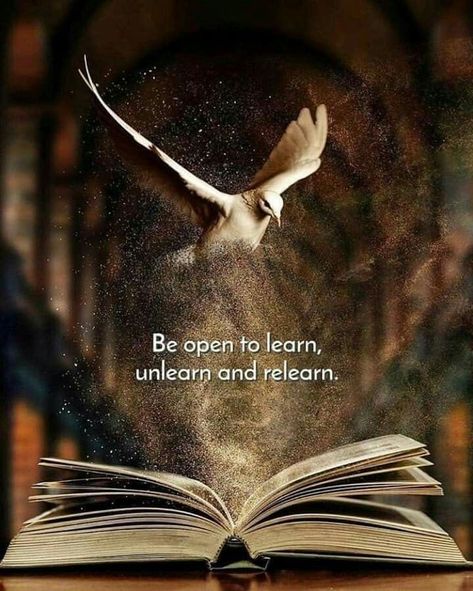 Be open to learn, unlearn and relearn.  Photo by artist Natacha. How To Do Meditation, Don Jose, Wise Quotes, Thoughts Quotes, Wisdom Quotes, Spiritual Quotes, Inspirational Words, Words Quotes, Life Lessons