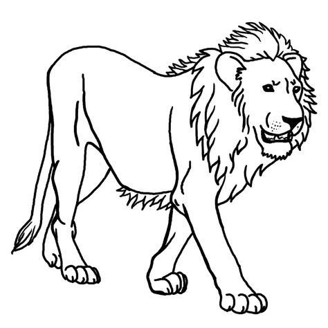 Lion Coloring, Lion Clipart, Funny Lion, Lion Coloring Pages, Lion Drawing, Beautiful Lion, Lion Pictures, African Lion, Lion Face