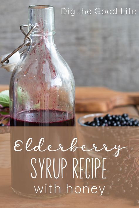 Elderberry Syrup Recipe with Honey - Dig the Good Life Elderberry Syrup Recipe, Homemade Elderberry, Elderberry Recipes, Turmeric Recipes, Elderberry Syrup, Herbal Apothecary, Natural Cough Remedies, Cough Remedies, Syrup Recipe